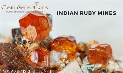 Indian Ruby Blaze